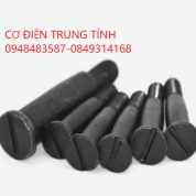 Chốt khớp nối bơm hải dương