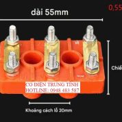 Cầu đấu Y-80-90