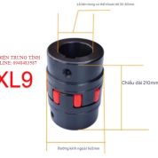 Khớp nối hoa mận XL9